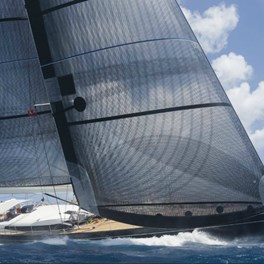 Doyle Sails Sejl 1